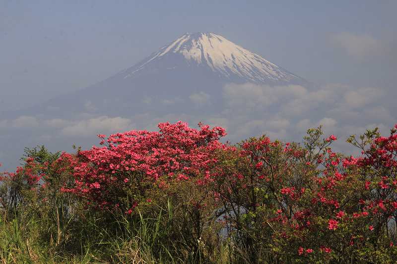 a0188405_2263480.jpg