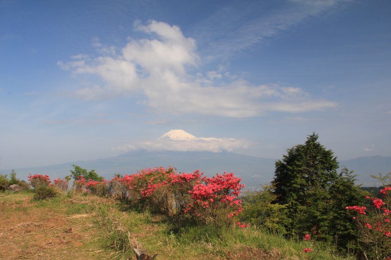 a0188405_2291142.jpg