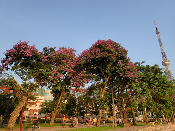 d0252505_2011954.jpg