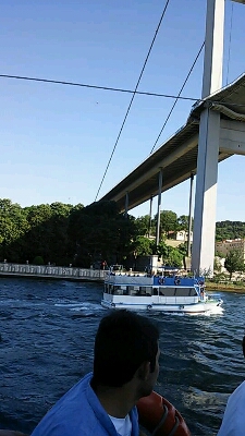 a0048609_11411623.jpg