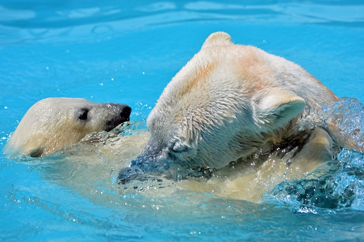 a0151913_226075.jpg