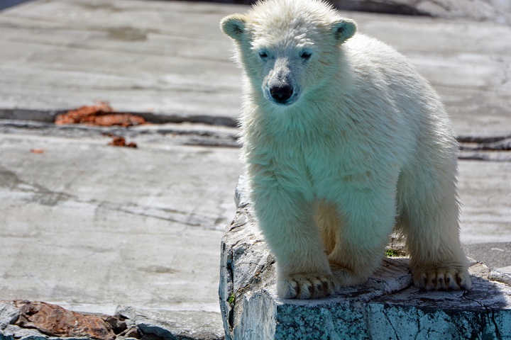 a0151913_2404456.jpg