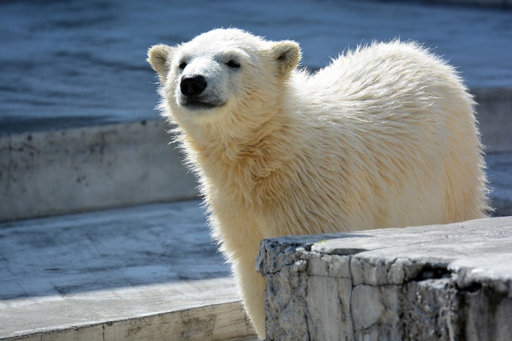 a0151913_3484985.jpg