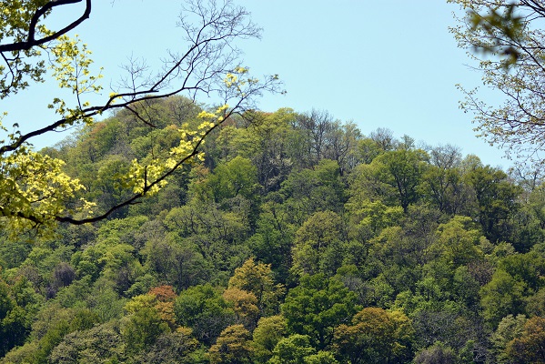 a0151913_3501867.jpg