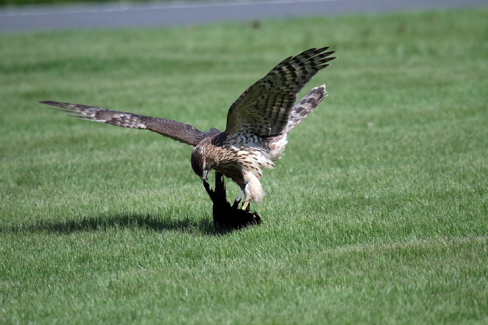 f0239515_2012673.jpg