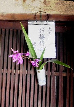 f0213825_1363731.jpg
