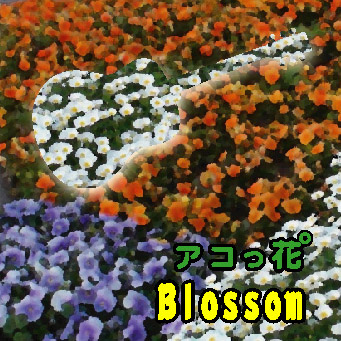 c0089832_235928.jpg