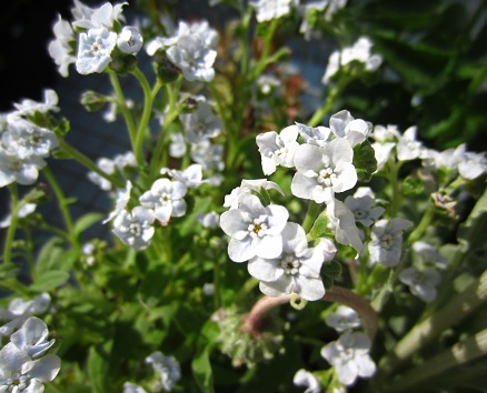 f0002833_19273514.jpg