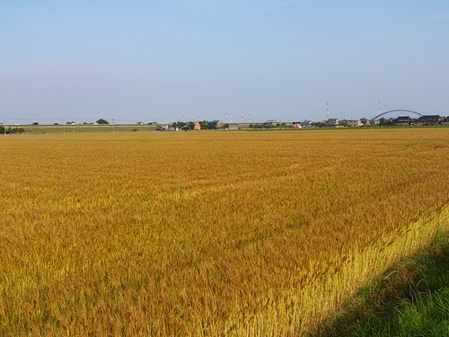 b0076739_1183838.jpg