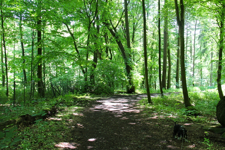 c0153740_2249225.jpg