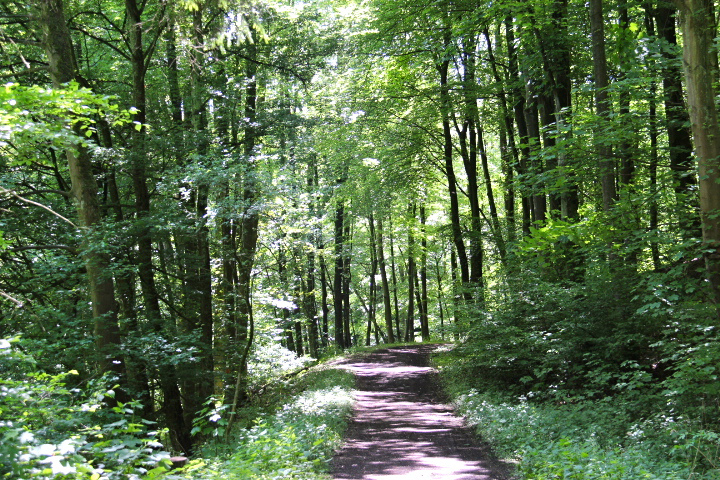 c0153740_22541337.jpg