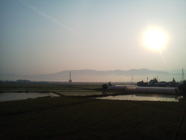 a0272241_2121550.jpg