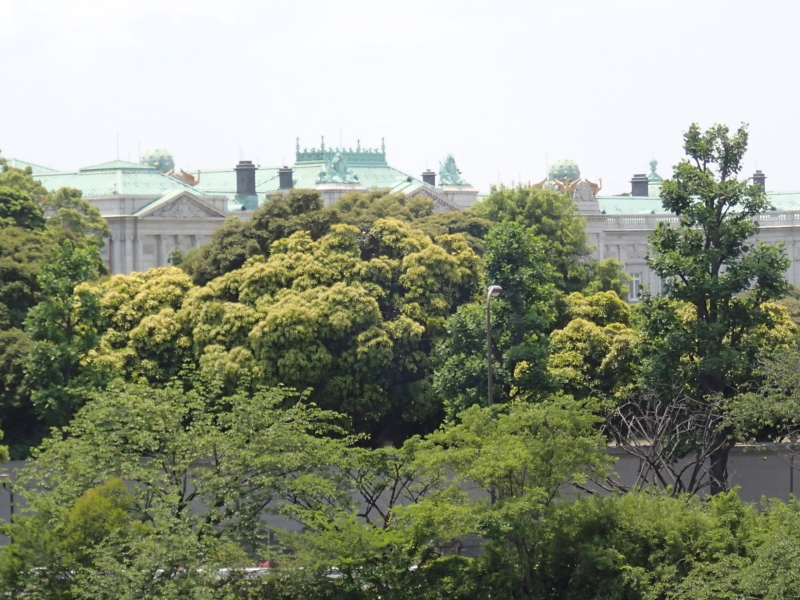 b0190242_1444370.jpg