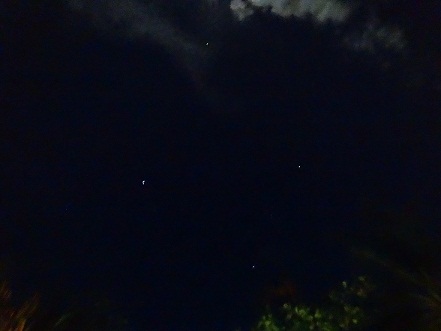 d0240442_92995.jpg