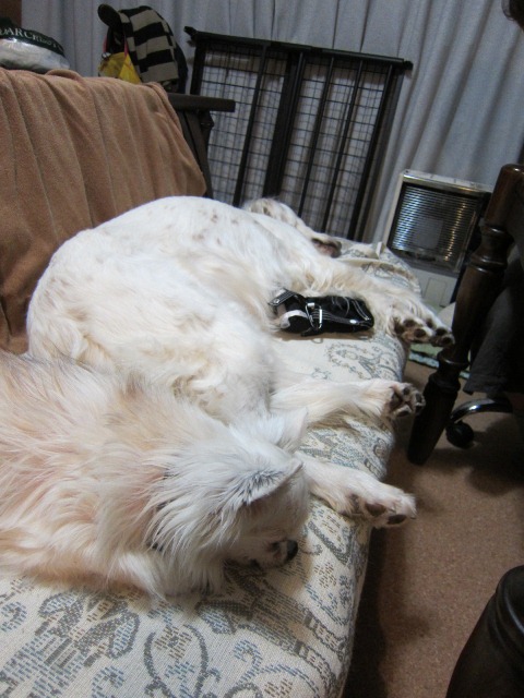 b0072650_12165884.jpg