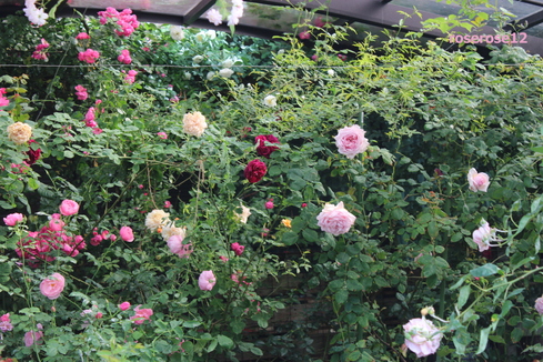 a0249051_15891.jpg
