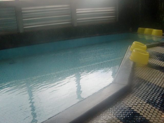c0037553_53264.jpg