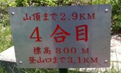 b0083757_22421861.jpg
