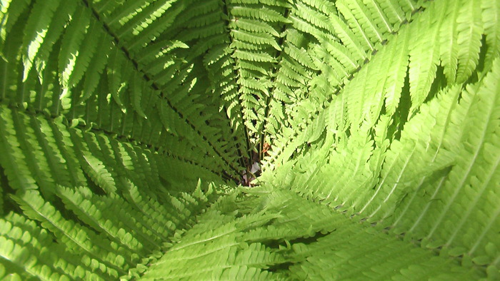 b0208961_13474112.jpg