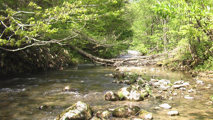 b0208961_8491294.jpg