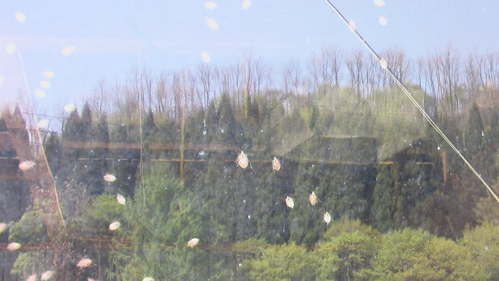 b0208961_8501170.jpg