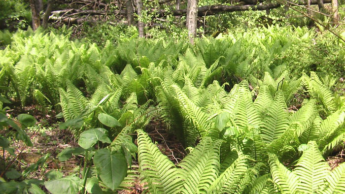 b0208961_8514445.jpg