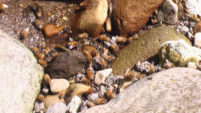 b0208961_8524218.jpg