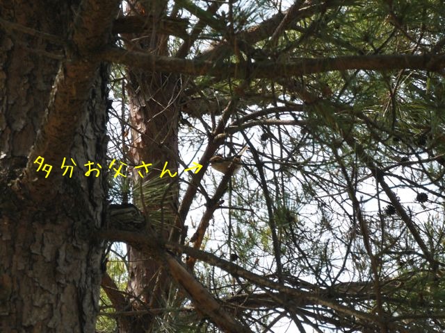 f0177261_16543392.jpg