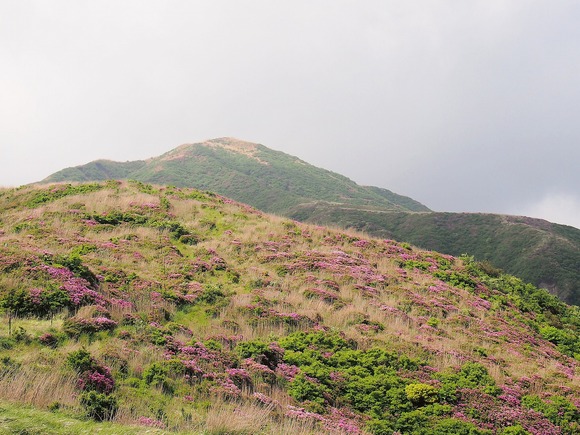 d0105063_795170.jpg