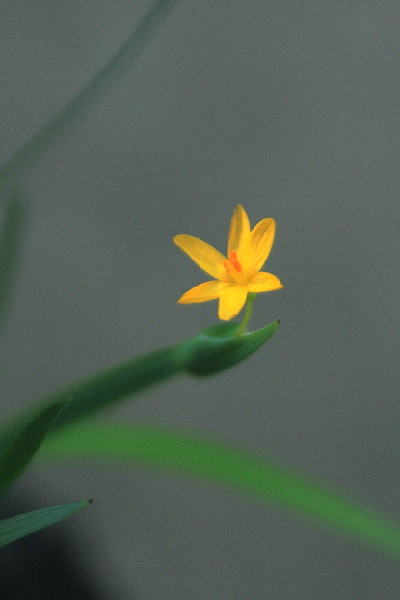 e0128863_956363.jpg