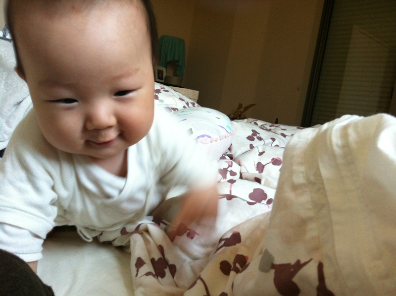d0084767_12201589.jpg