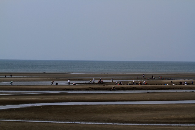 d0126577_13532413.jpg
