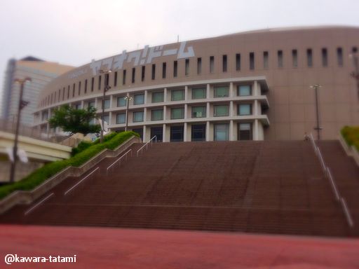 d0244977_1111135.jpg