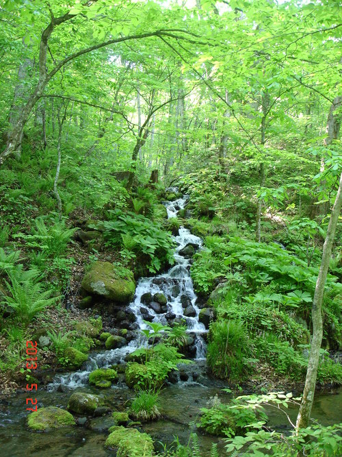 d0165378_12532412.jpg