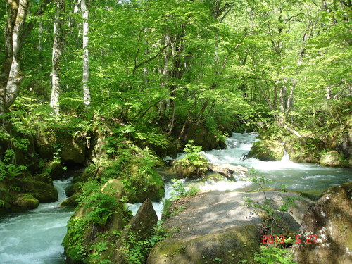 d0165378_12535972.jpg