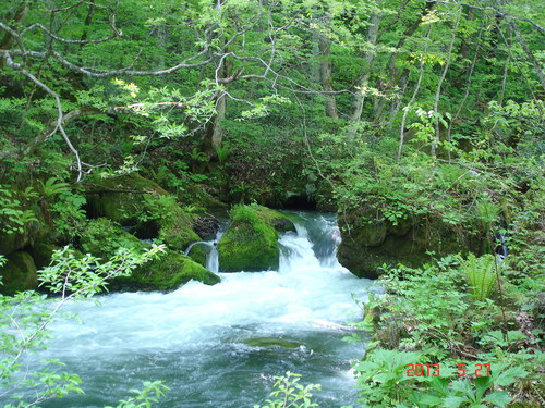 d0165378_1256137.jpg