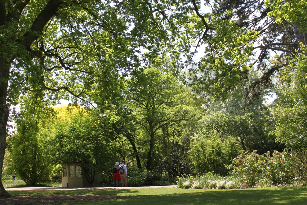 a0137487_1835346.jpg