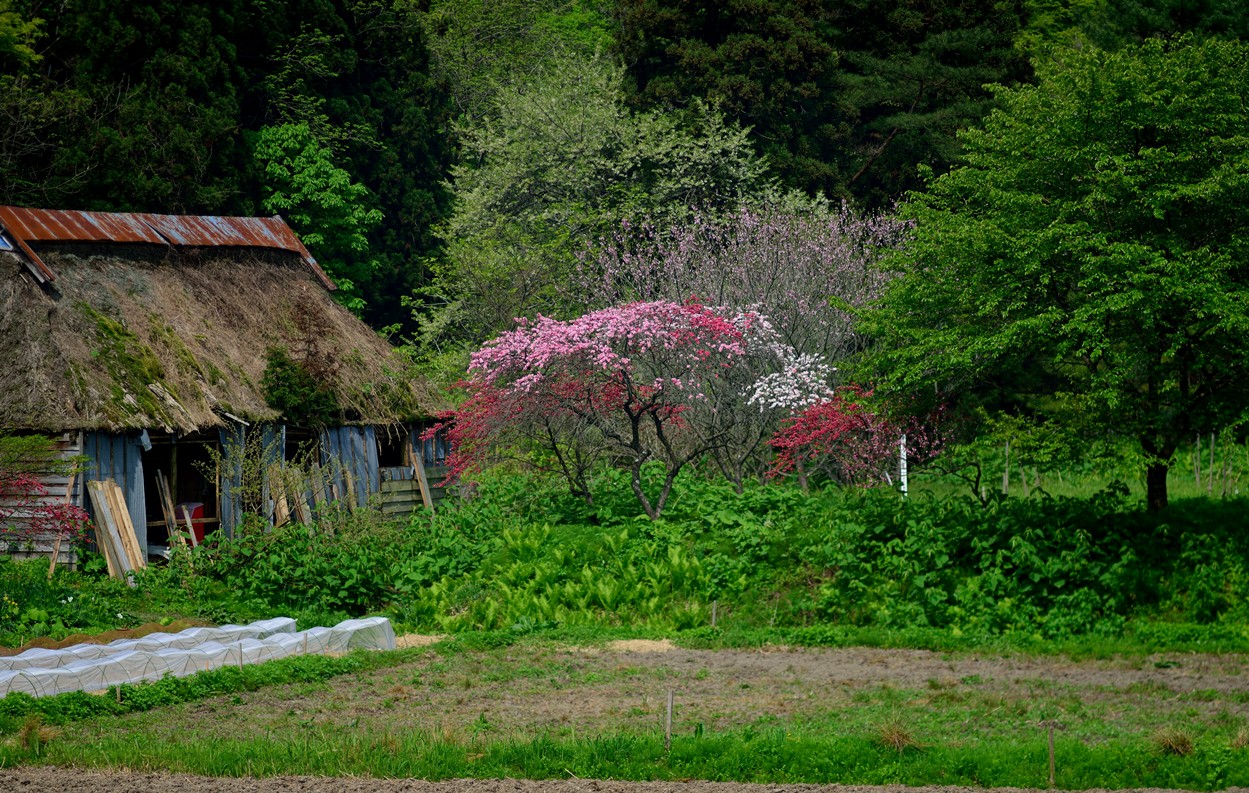 f0205287_0281747.jpg