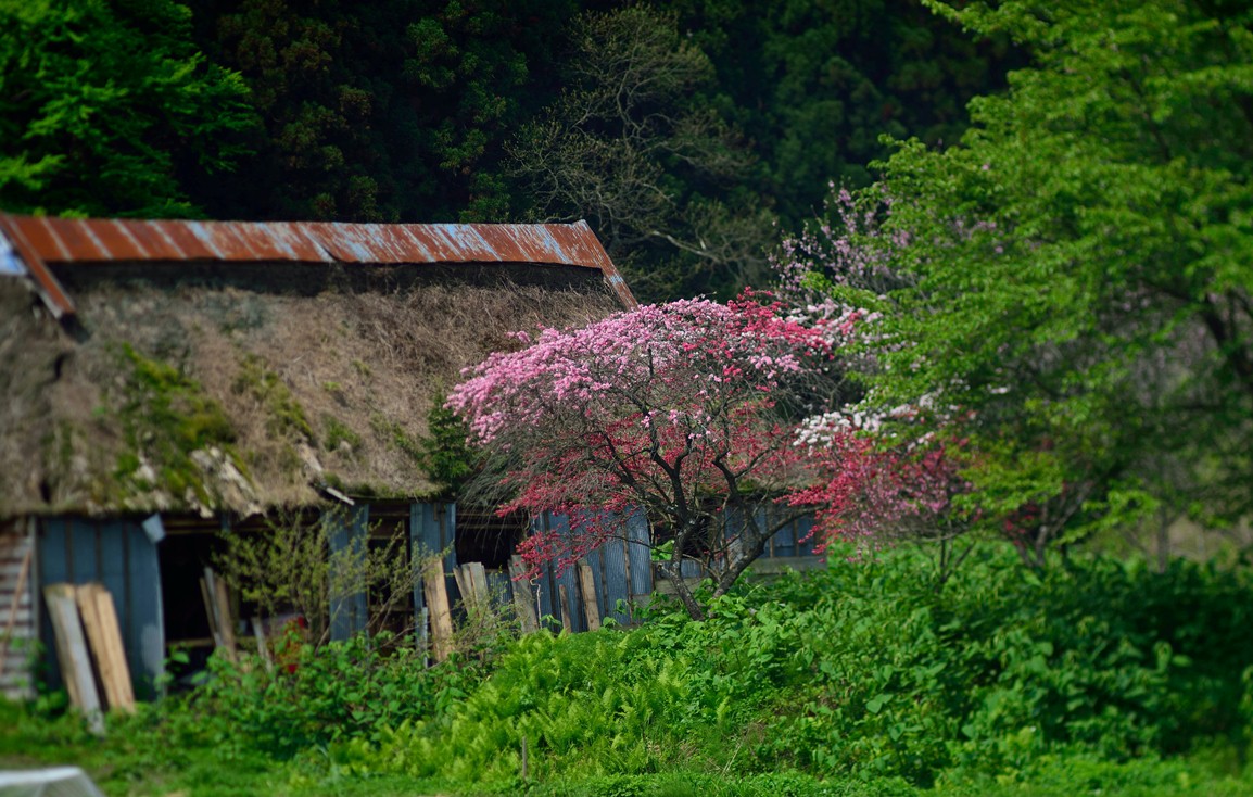 f0205287_0304179.jpg