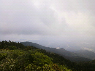 d0247789_17365529.jpg