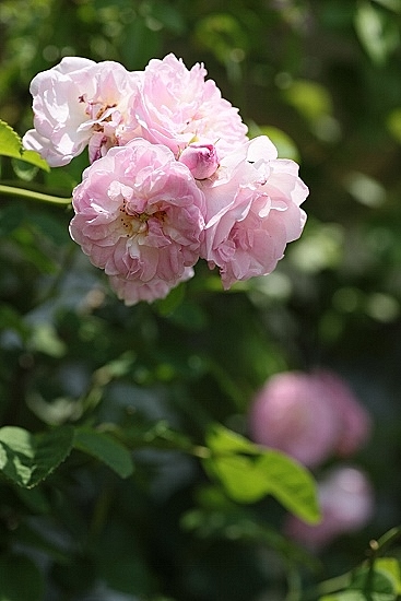 e0209997_2123652.jpg
