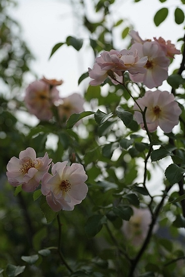 e0209997_23434289.jpg