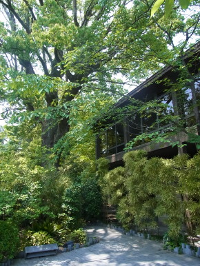 c0172698_1174124.jpg