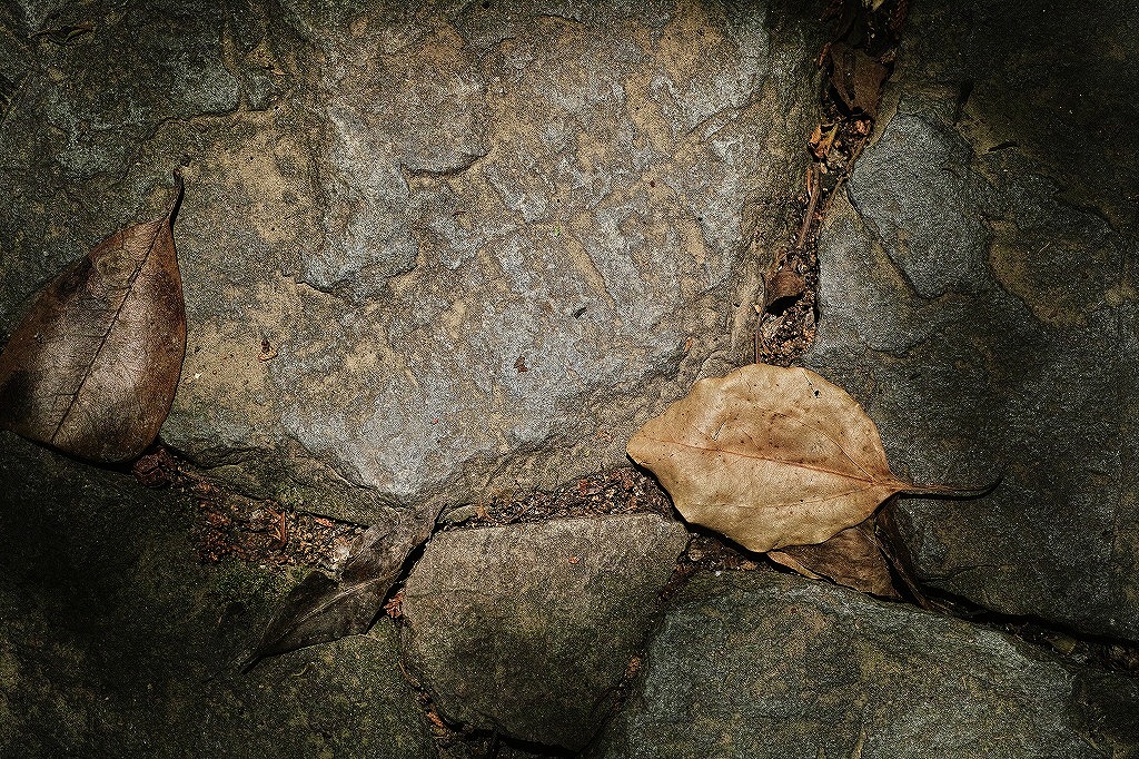 f0224100_542218.jpg