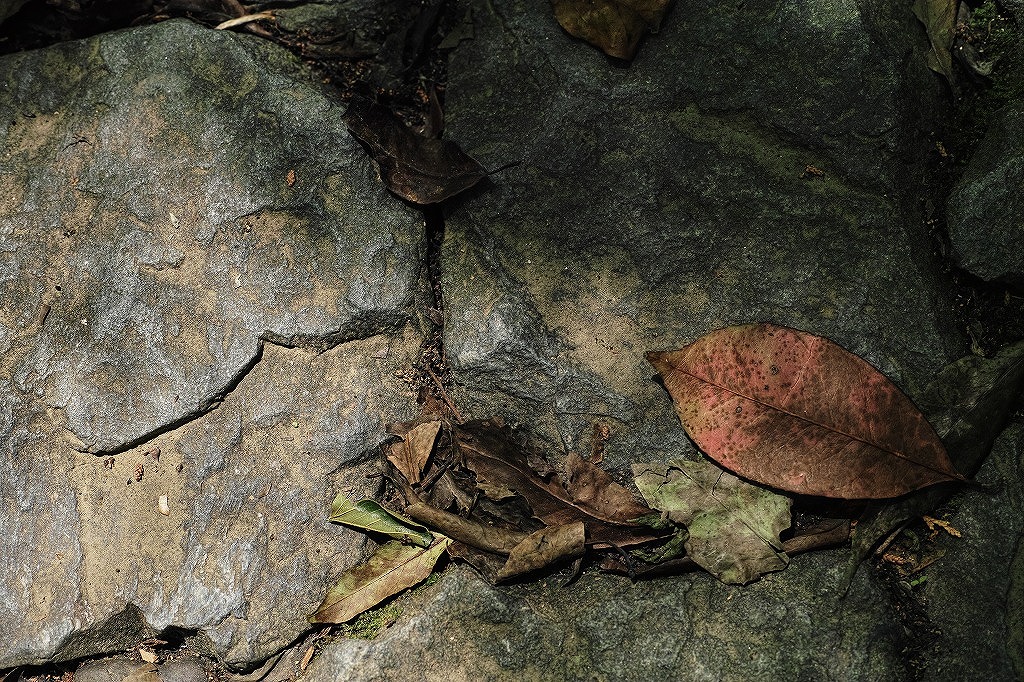 f0224100_5444656.jpg