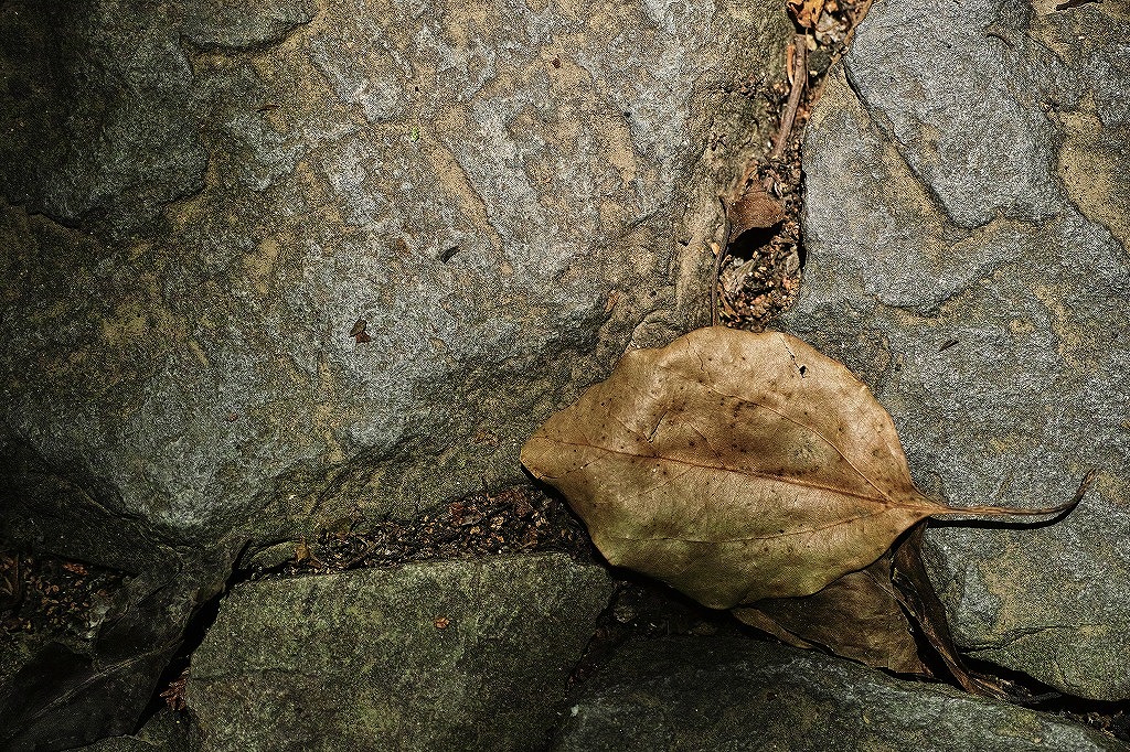 f0224100_60651.jpg