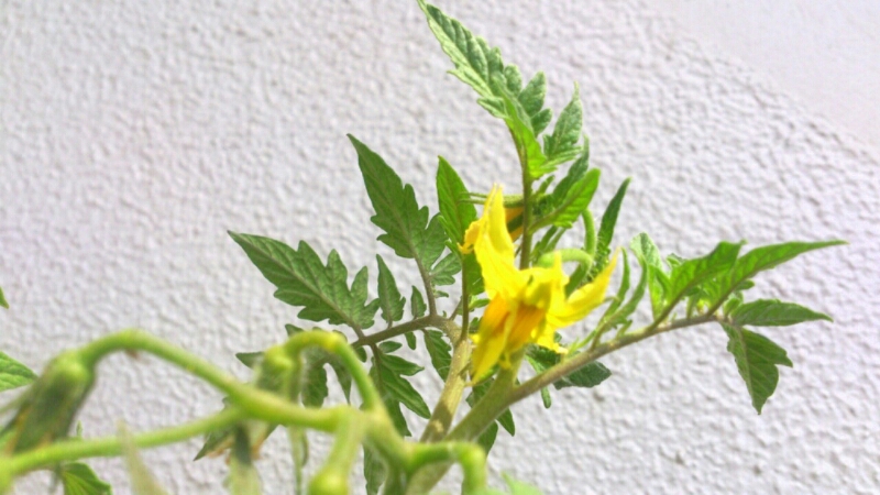 c0202101_0123622.jpg