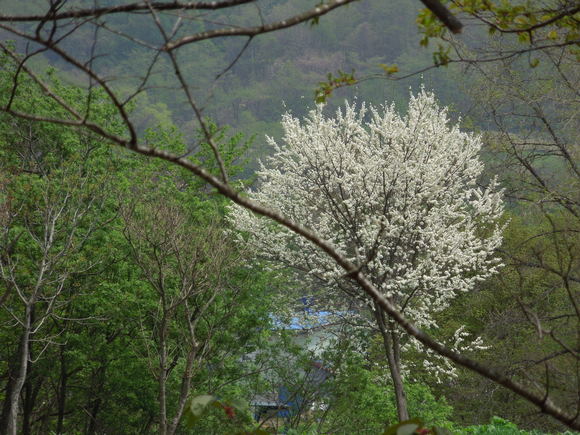 a0292602_20371074.jpg