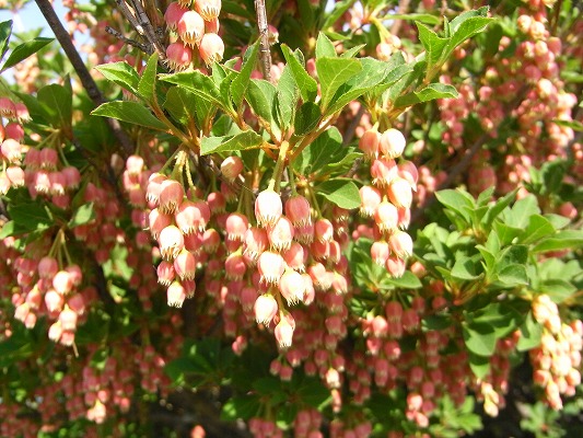 f0187402_22463936.jpg