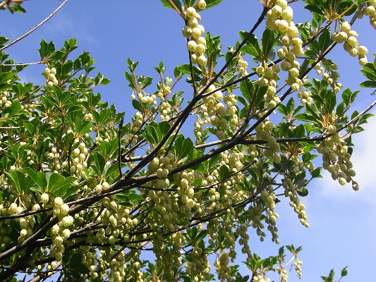 f0187402_22471011.jpg